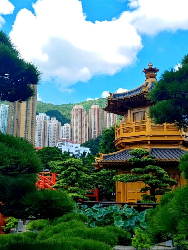 Nan Lian Garden: A Zen Escape in Hong Kong 🌿