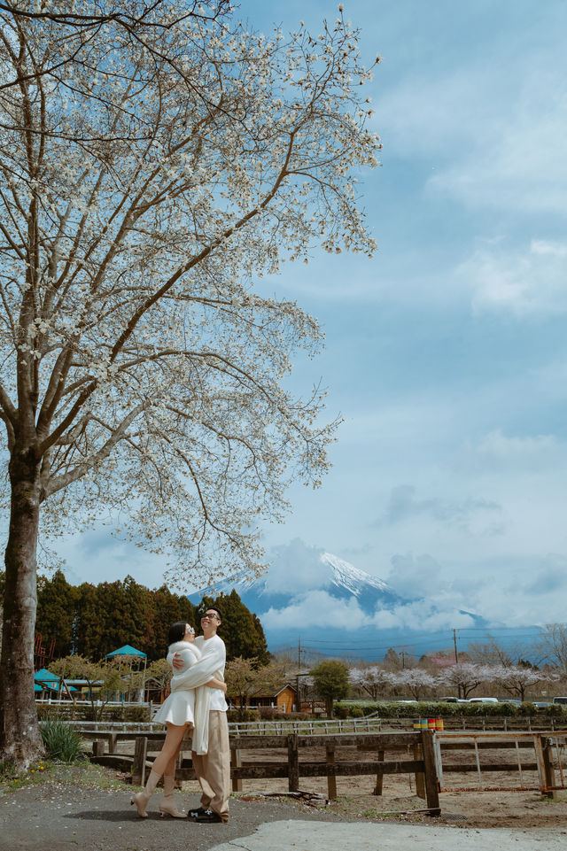 A Day at Makaino Farm – Fujinomiya, Shizuoka