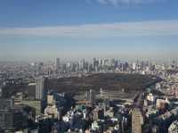 從晴空塔俯瞰絕美東京，東京最出片的地方！🇯🇵🗾