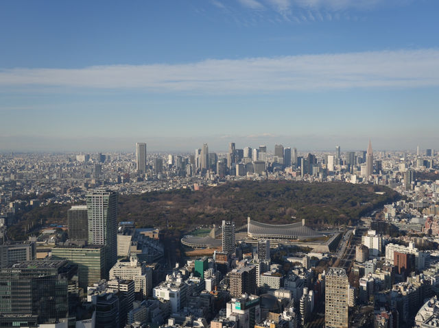 從晴空塔俯瞰絕美東京，東京最出片的地方！🇯🇵🗾