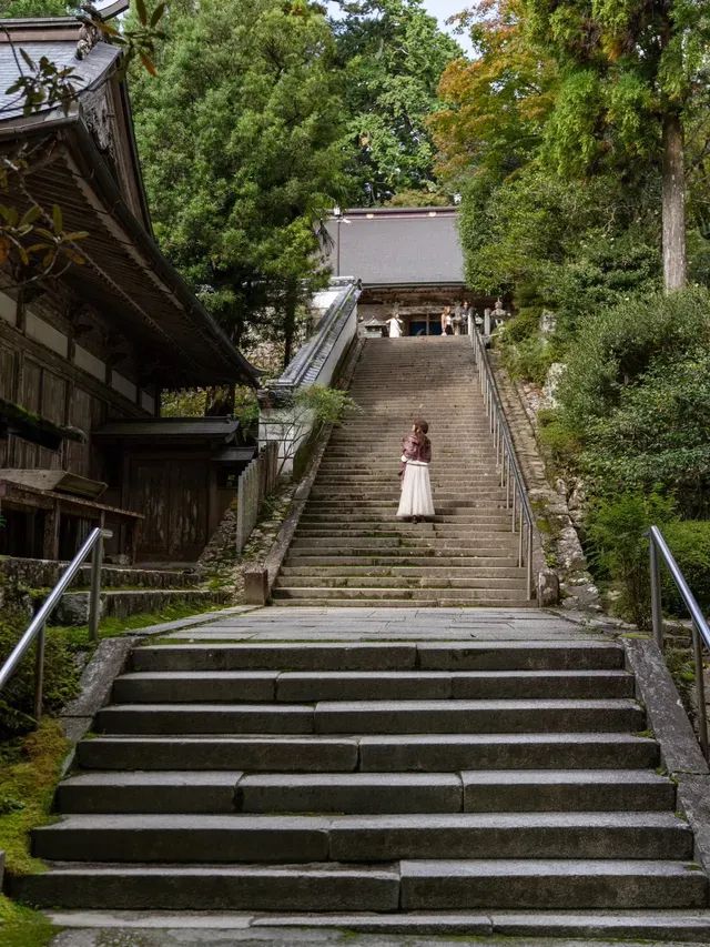 【徳島県/勝浦町】お遍路のお寺で出会った特別な体験