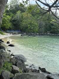 Paradise Beach - พาราไดซ์บีช ป่าตองภูเก็ต