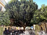 Spain-Seville-Triana