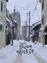 오타루 당일치기/1박2일 여행일정 추천! 