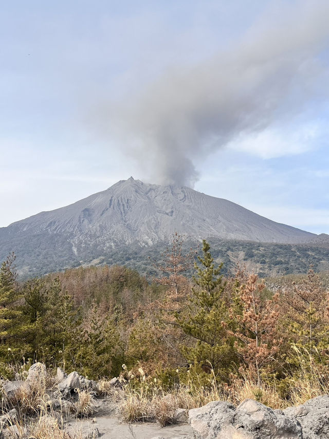【景點推薦】日本鹿兒島🌋櫻島火山
