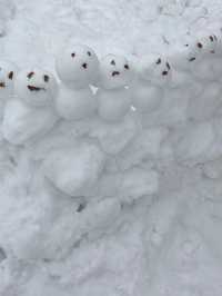 [愛知]期間限定☃️雪まつり❄️