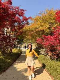 My Ultimate Hwadam Day Trip Itinerary Guide