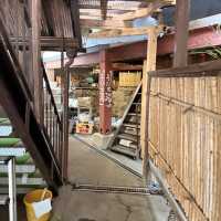 【九重】格安湯治場✨源泉かけ流しっぱなし♨️6つの温泉入り放題♨️
