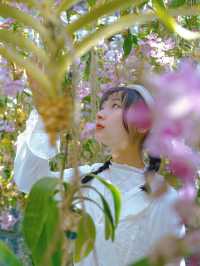 體驗「人與展區」無界線》豐洲teamlab!