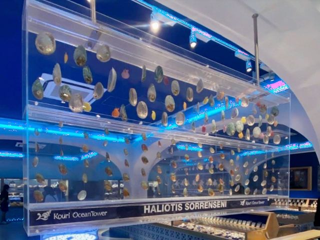 眺望古宇利大橋的置高點：古宇利海洋塔