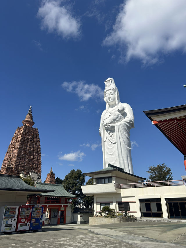 ☾︎福岡☽︎ 日本最大級の大観音様