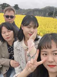 창녕 꽃구경 핫플🌸🌼🌷