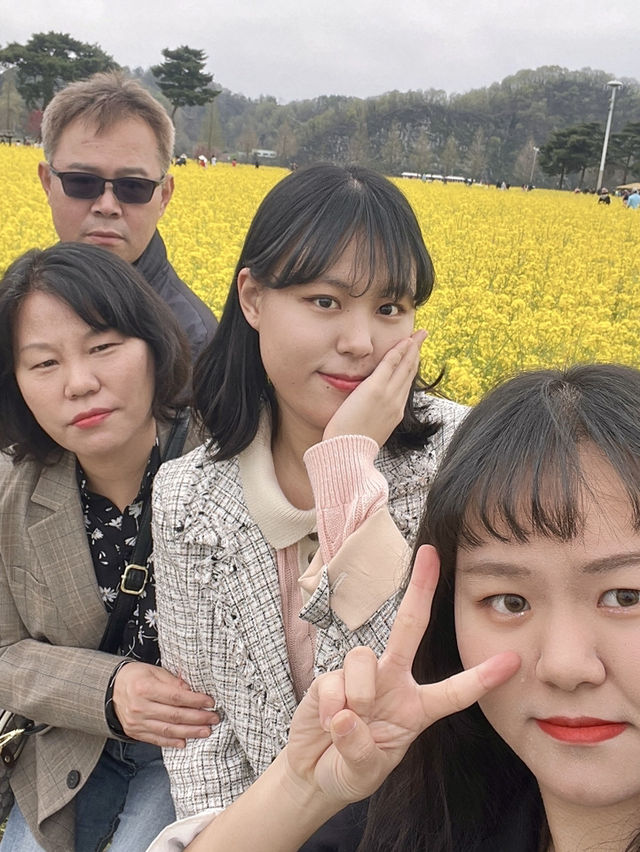 창녕 꽃구경 핫플🌸🌼🌷