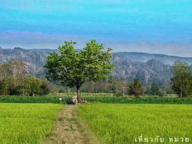 แบกเป้เที่ยวเนินมะปราง #พิษณุโลก 