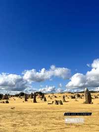 🇦🇺 Adventure and Flavors: A Day of Breakfast, ATV Thrills, and Wine Tasting in Perth