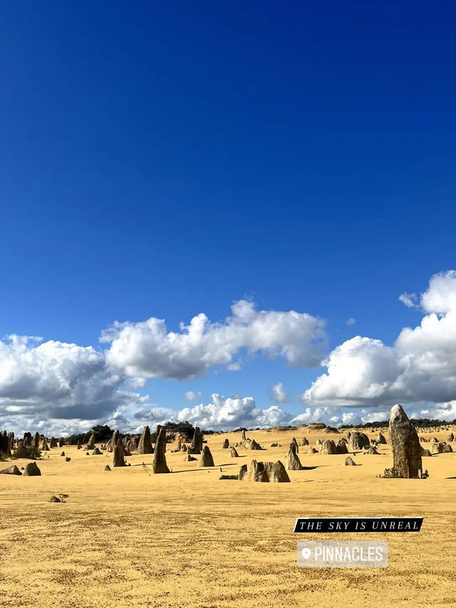 🇦🇺 Adventure and Flavors: A Day of Breakfast, ATV Thrills, and Wine Tasting in Perth