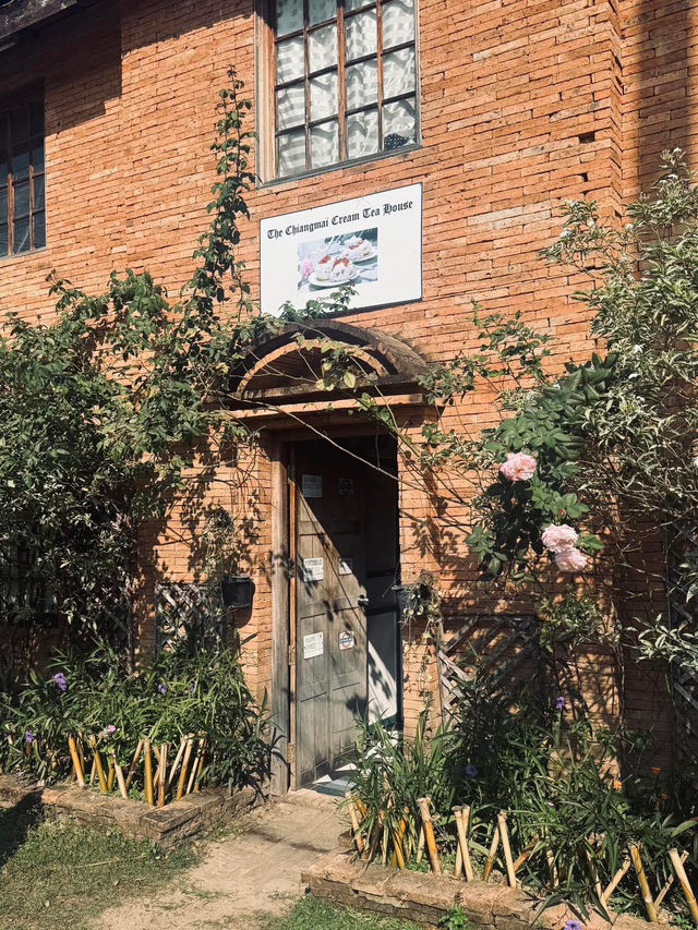 The Chiangmai Cream Tea House 