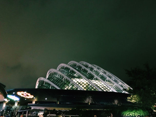 Gardens by the Bay: A Night of Magic & City Lights