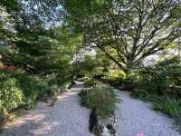 Leiden Botanical Garden (Hortus Botanicus Leiden)