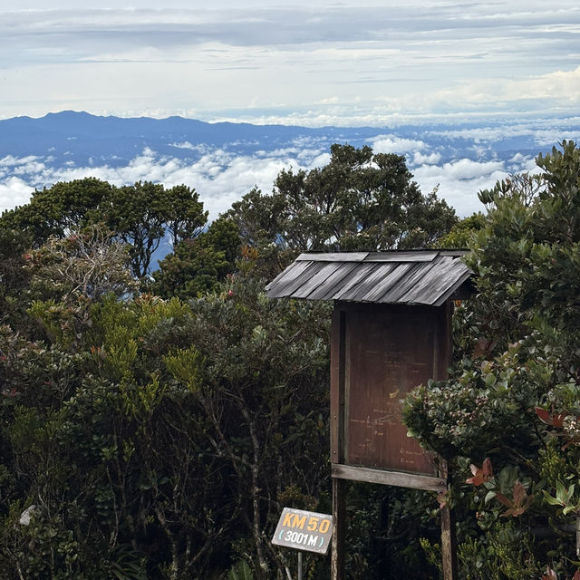 馬來西亞神山
