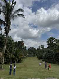 Lush Tropical Paradise - Singapore Botanic Gardens