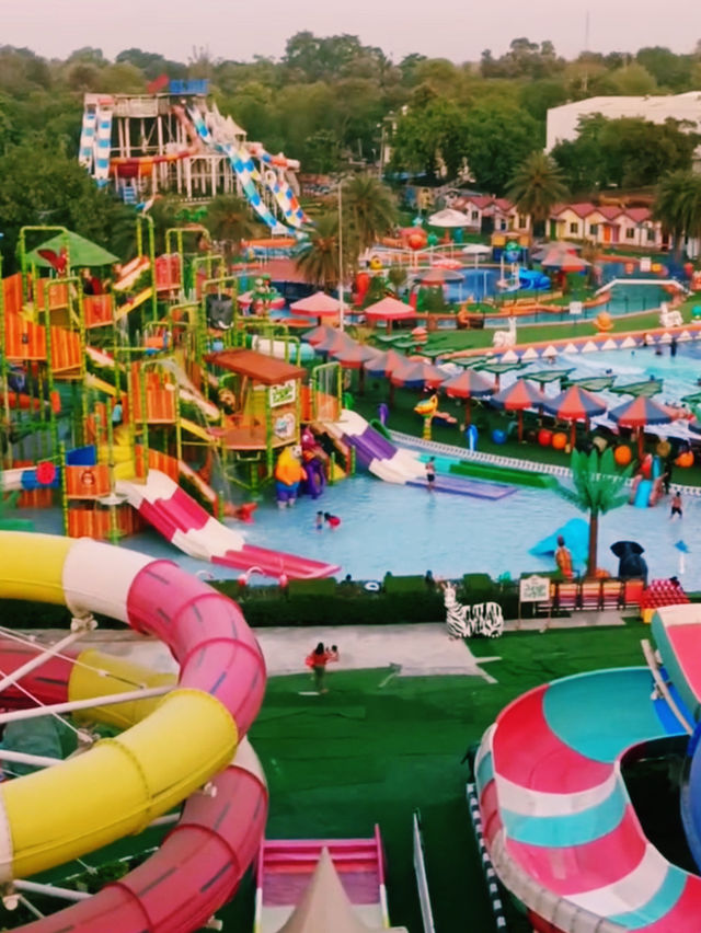 家族で楽しめる遊園地🎡🎢