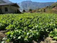 Tacheng Village: A Hidden Paradise in Yunnan’s Shangri-La