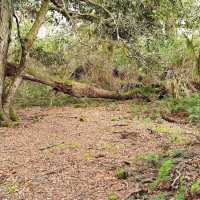 Barrington Tops National Park