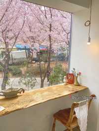 Best Spring Cafés in Seoul🌸 ☕️