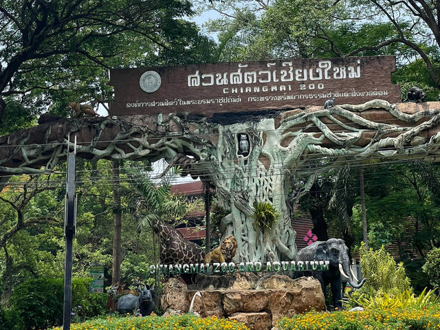 ฮิปโปโปเตมัส | สวนสัตว์เชียงใหม่