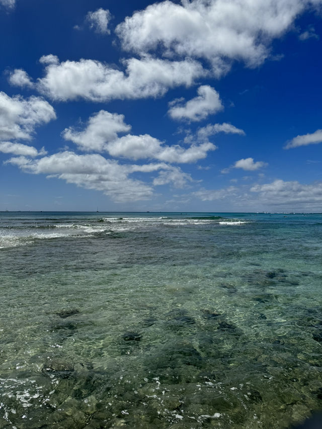 하와이의 따뜻한 날씨와 와이키키 해변의 푸른 바다에서 즐기는 서핑🌊