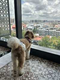 Singapore’s Peranakan Heritage at Hotel Indigo Katong