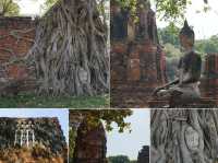 เที่ยวอยุธยาใน 1 วัน ฉบับคนไม่ได้วางแผน!