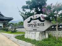韓国ドラマファン必見✨MBCの撮影セット場🎥