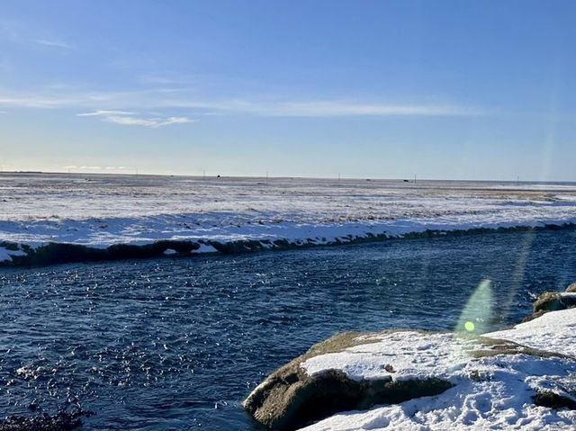 🇮🇸冰島Geysir間歇泉與可愛冰島馬之旅🐴✨