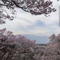 Takato Castle Park, Nagano Prefecture