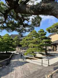 Spring in Full Bloom at Yuushien