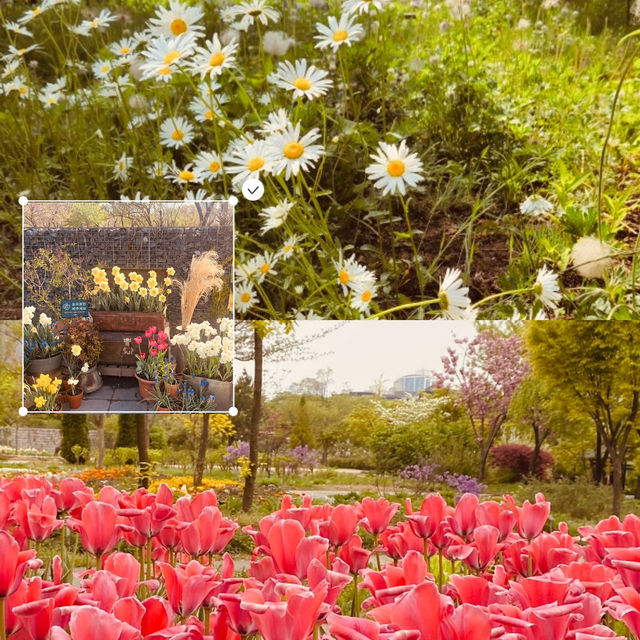 Spring Picnic Perfection 🧺🌷