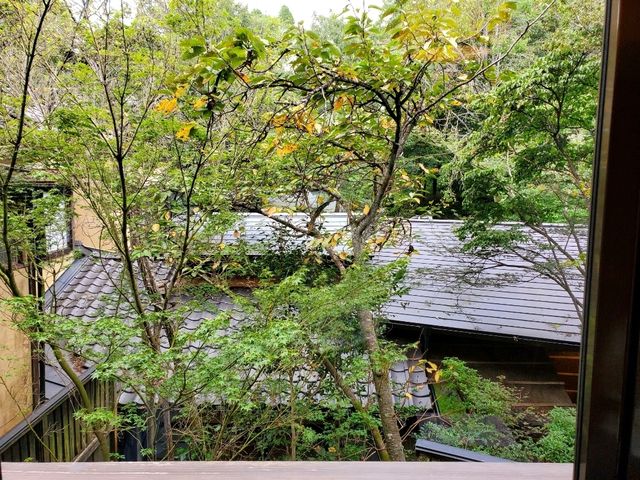 [🇯🇵黒川温泉] 自然と歴史が息づく癒しの温泉地