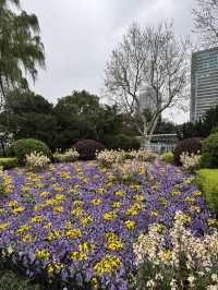 Spring in Shanghai is the BEST!