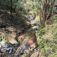 Minoo Park – "A Hidden Cherry Blossom Trail Near Osaka"