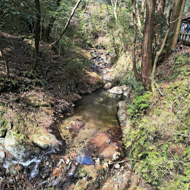 Minoo Park – "A Hidden Cherry Blossom Trail Near Osaka"