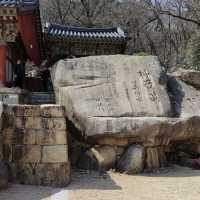 梵鱼寺樱花
