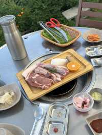 제주도 여기 왜안가요?제주힐링돼지🐷