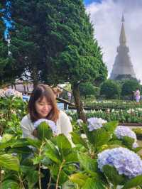 Chiang Mai 4 Days 2 Nights: Doi Suthep – Doi Pui – Doi Inthanon🇹🇭
