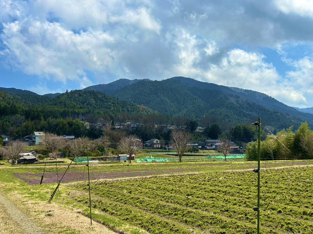 🌿京都・大原って、まるで自然の宝箱みたいな場所だった！🌸