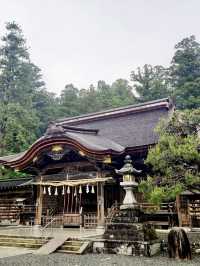 Vibrant Azaleas at Oguni Shrine
