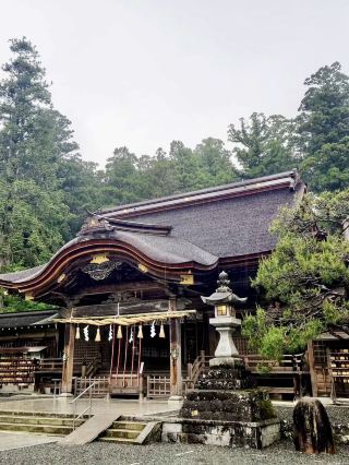 Vibrant Azaleas at Oguni Shrine