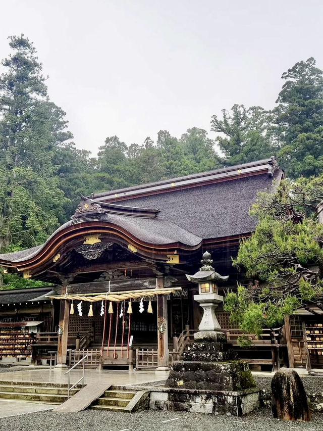 Vibrant Azaleas at Oguni Shrine