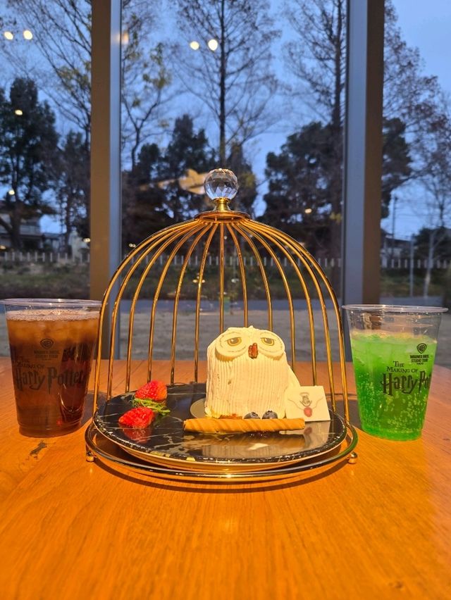 魔法世界的奇幻之旅：東京哈利波特影城🪄